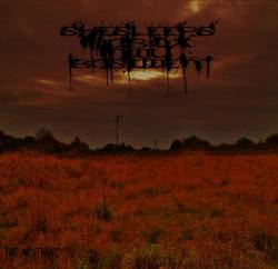 She Sleeps In A Box In My Basement : The Nightmare